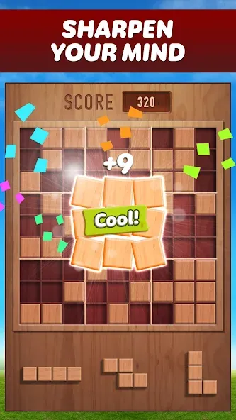 Скачать взлом Woody 99 — Sudoku Block Puzzle (Вуди 99)  [МОД Все открыто] — стабильная версия apk на Андроид screen 1