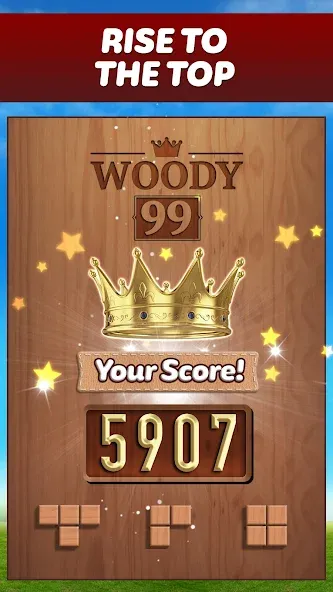 Скачать взлом Woody 99 — Sudoku Block Puzzle (Вуди 99)  [МОД Все открыто] — стабильная версия apk на Андроид screen 5