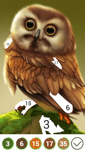 Взломанная Hola Color—Coloring by Number (ола калор)  [МОД Все открыто] — полная версия apk на Андроид screen 3