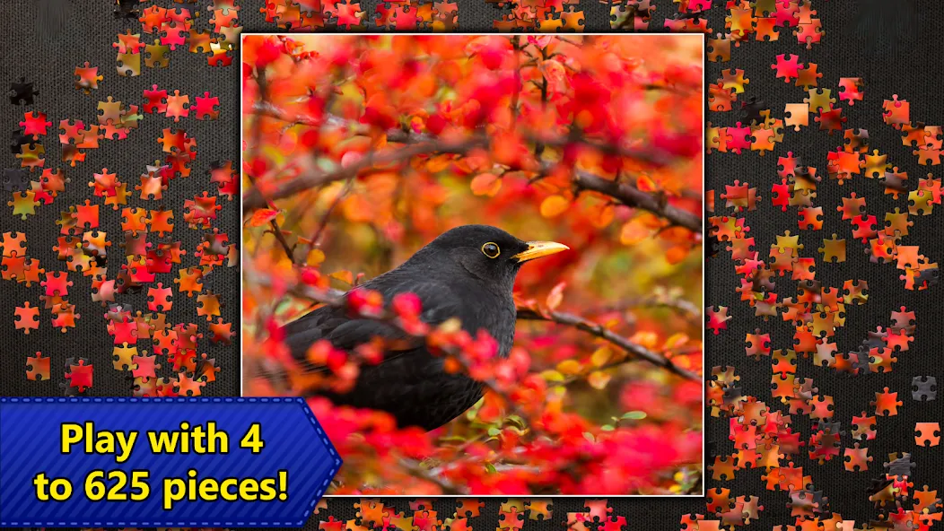 Взломанная Jigsaw Puzzles Epic  [МОД Много монет] — стабильная версия apk на Андроид screen 5
