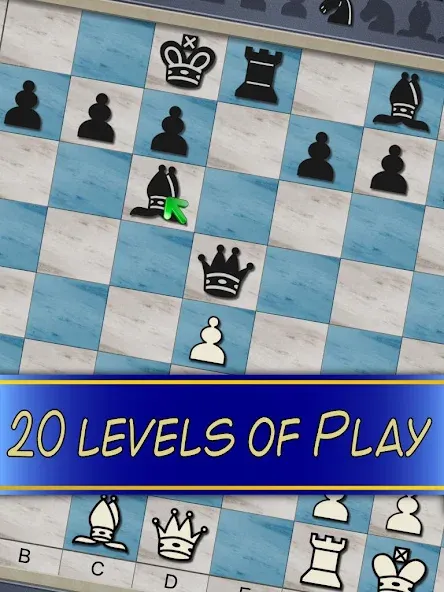 Взломанная Chess V+ — board game of kings  [МОД Mega Pack] — полная версия apk на Андроид screen 5