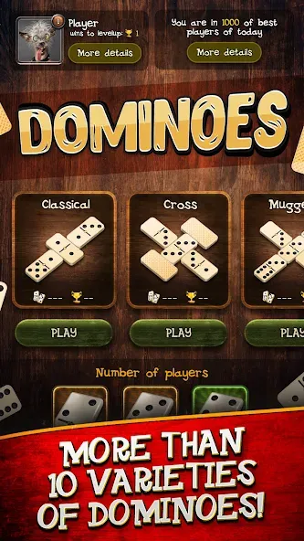 Скачать взлом Dominoes  [МОД Бесконечные монеты] — стабильная версия apk на Андроид screen 4